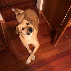 Meet your Posher, Ben